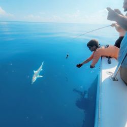 key west charter fishing trips